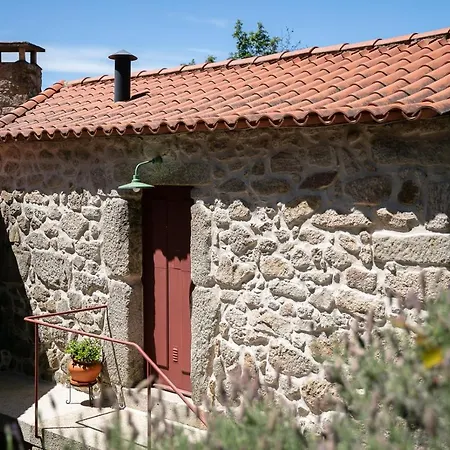 Alloggio per agriturismo Tracos D'outrora Vale de Cambra
